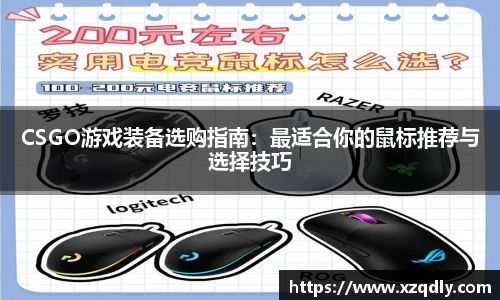 CSGO游戏装备选购指南：最适合你的鼠标推荐与选择技巧